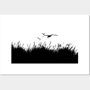 Seagulls Flying over Sand Dunes Posters and Art